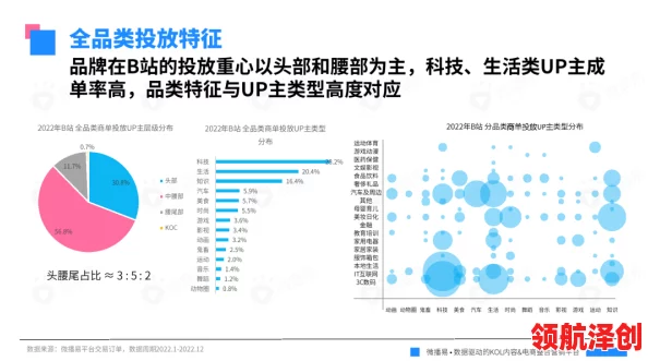 b站视频推广网站2023年：全面评测与用户反馈，助你提升视频曝光率的最佳选择